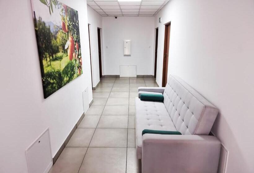 Отель Orange Tree