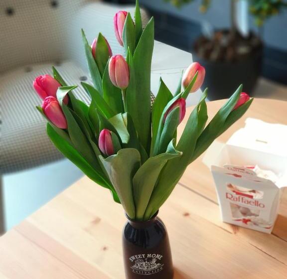 Отель Orange Tree