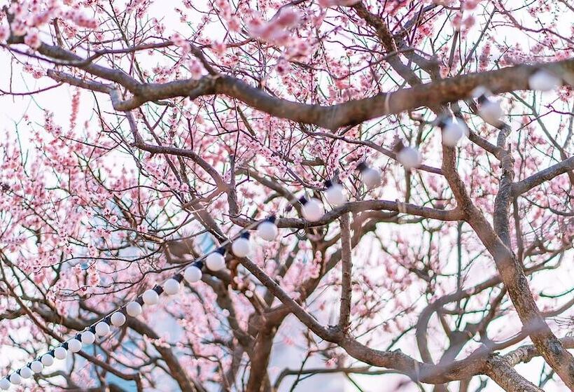 Отель Greennarae Pension