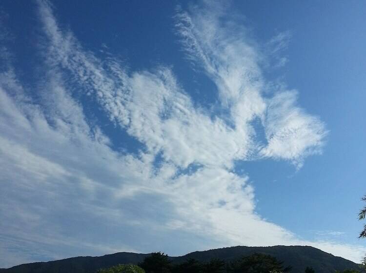 Отель Greennarae Pension