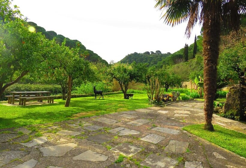 호텔 Quinta De Rio Alcaide