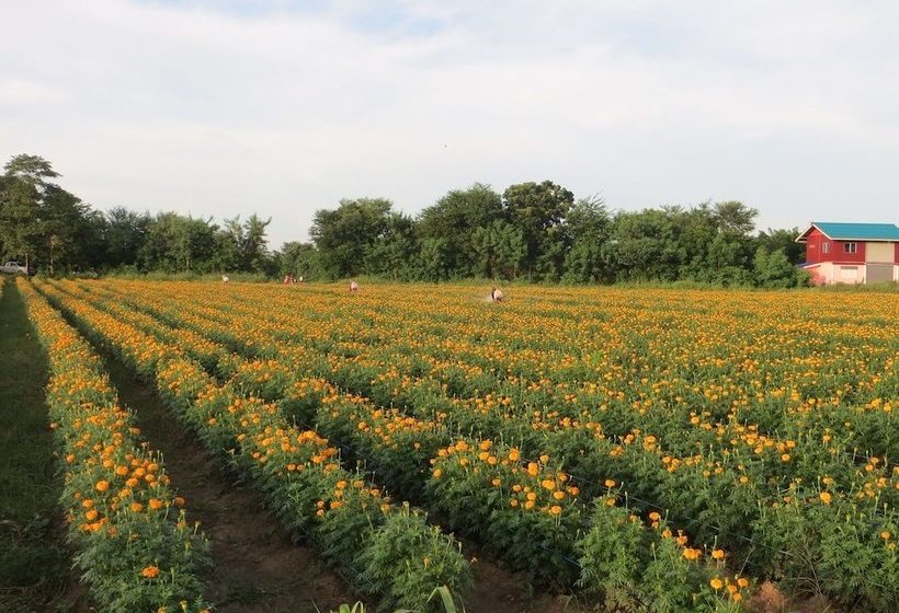 בית מלון כפרי River Garden 888