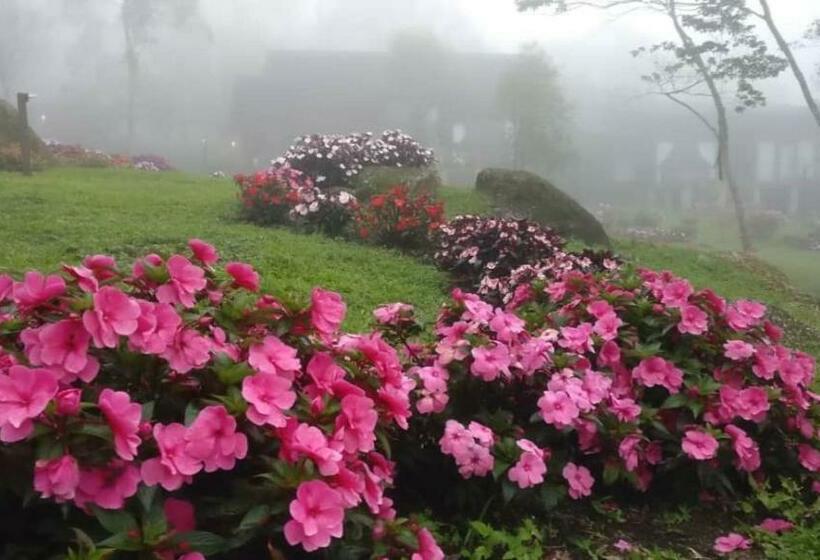 ホテル Spring Garden