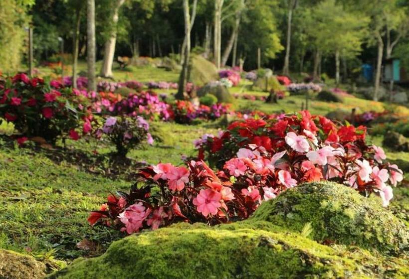 ホテル Spring Garden