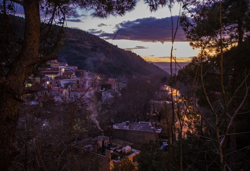 בית מלון כפרי Steni