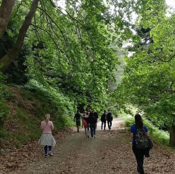 בית מלון כפרי Steni