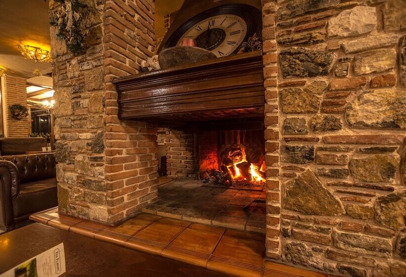 בית מלון כפרי Steni