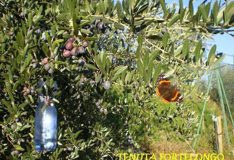 호텔 Tenuta Fortelongo