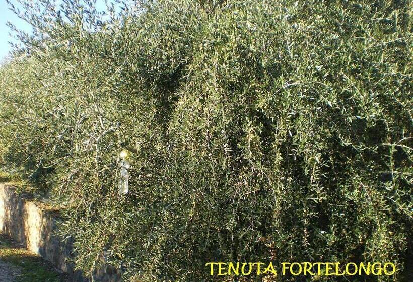 호텔 Tenuta Fortelongo