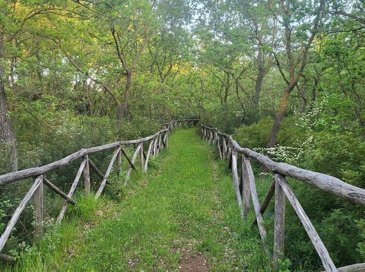 בית מלון כפרי Tenuta Giannini