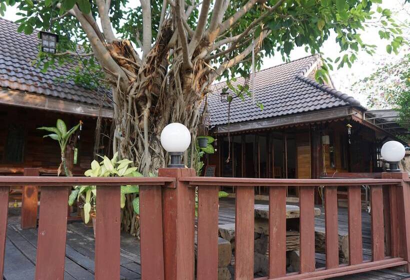 בית מלון כפרי The Northern View