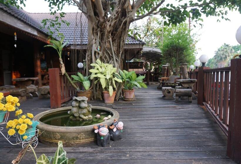 בית מלון כפרי The Northern View