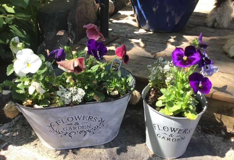 فندق The Stella Rose B&b