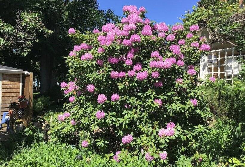 فندق The Stella Rose B&b