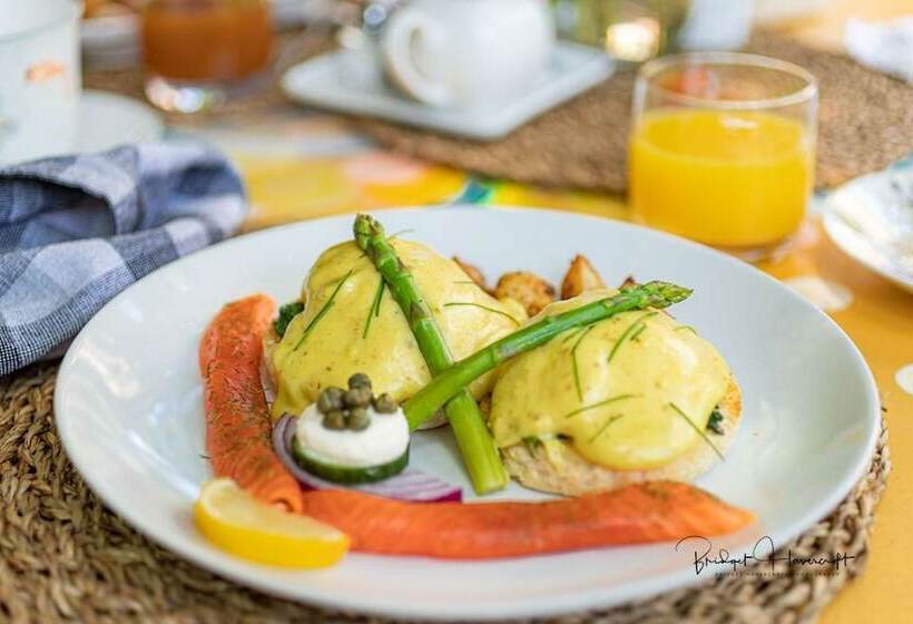 فندق The Stella Rose B&b