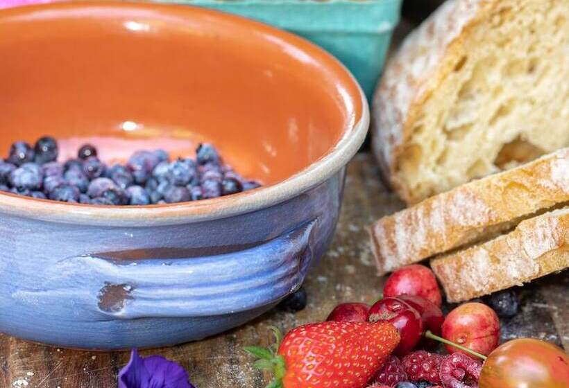 فندق The Stella Rose B&b