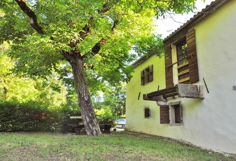 בית מלון כפרי Traditional Stone House Kotli