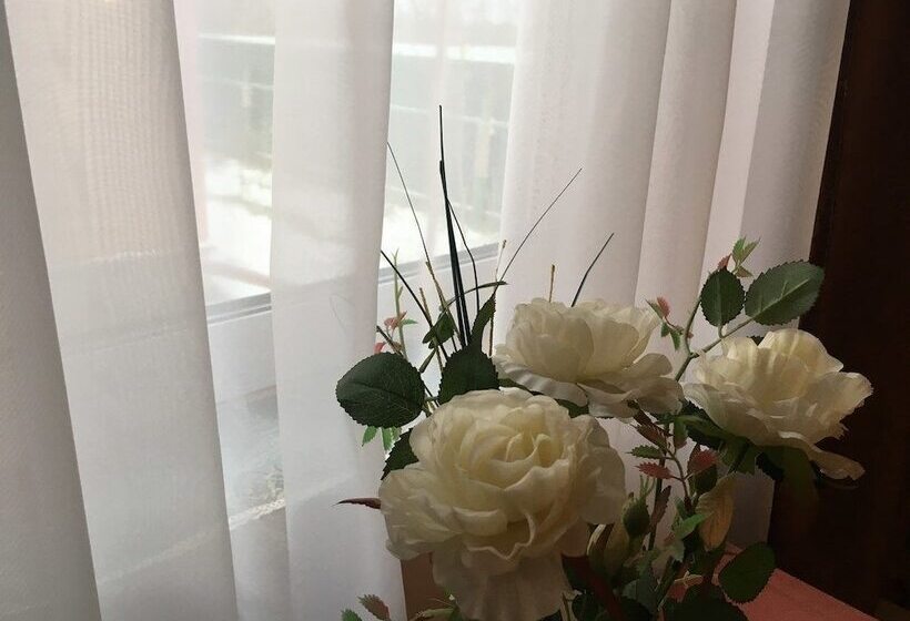 Отель Vladimirski Hutorok