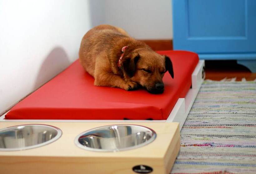 ホテル Pension Vuglec Breg