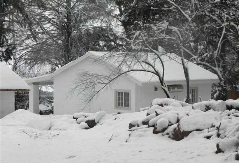 בית מלון כפרי Waterwoods Cottages