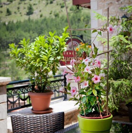 Kazas Luxury Apartments