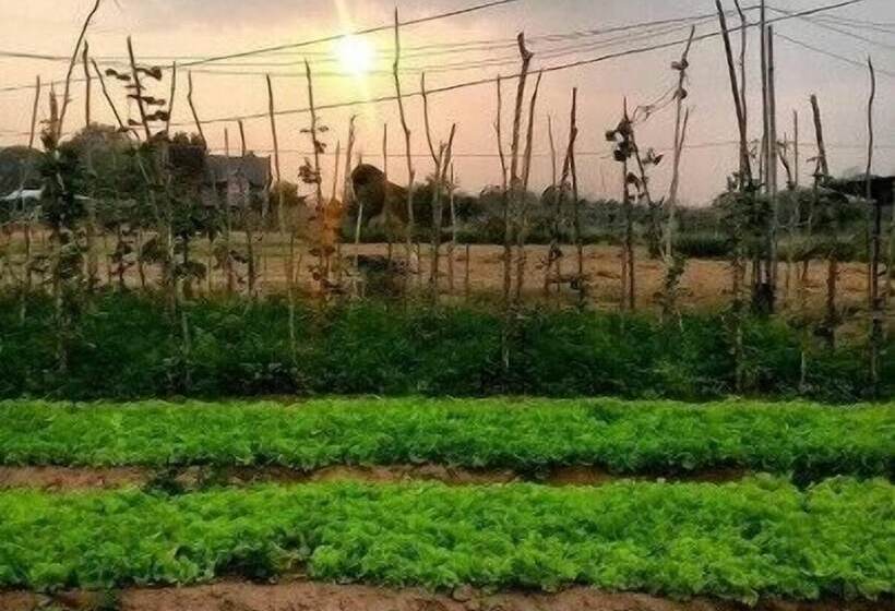 Wangnamkam Riverside Resort