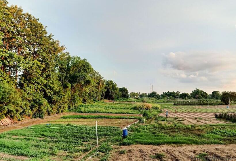 Wangnamkam Riverside Resort