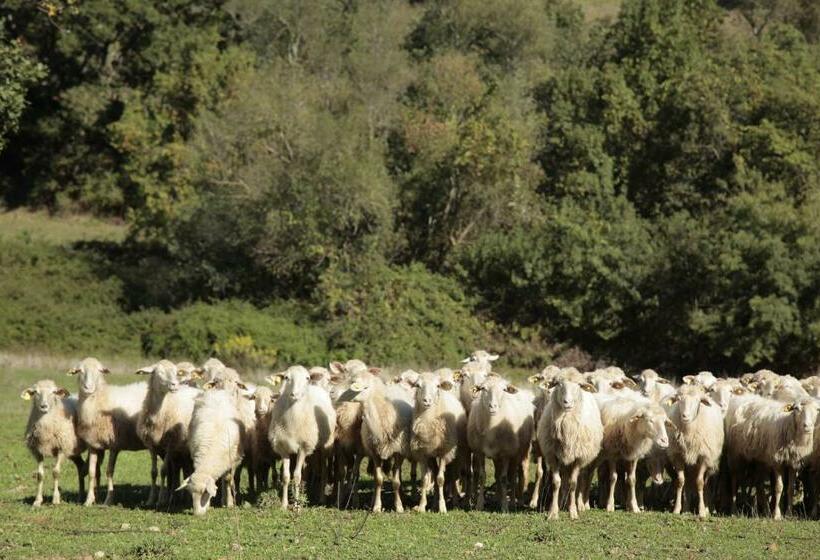 فندق Agriturismo San Giusto