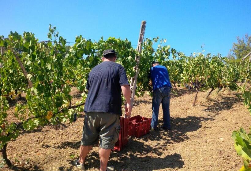 فندق Agriturismo San Giusto