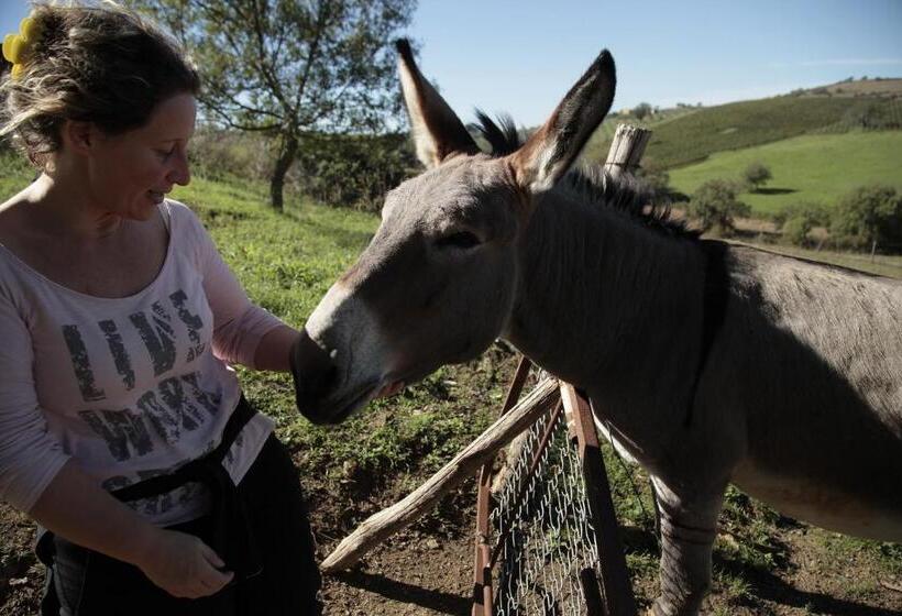 فندق Agriturismo San Giusto