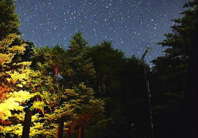 Hotel Spa Lodge Redwood Inn