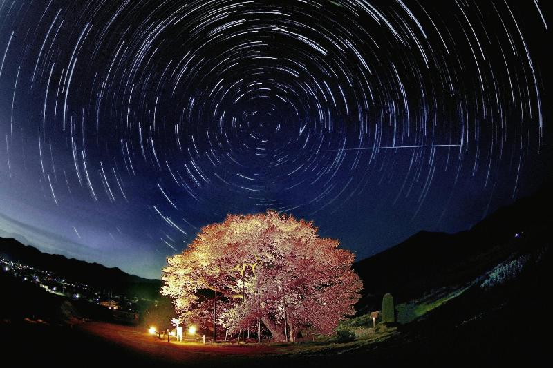 Hotel Spa Lodge Redwood Inn