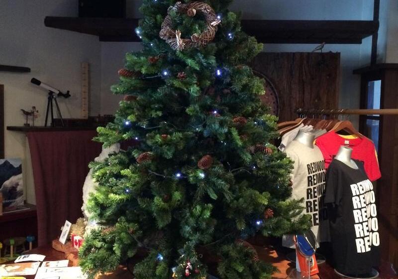 Hotel Spa Lodge Redwood Inn