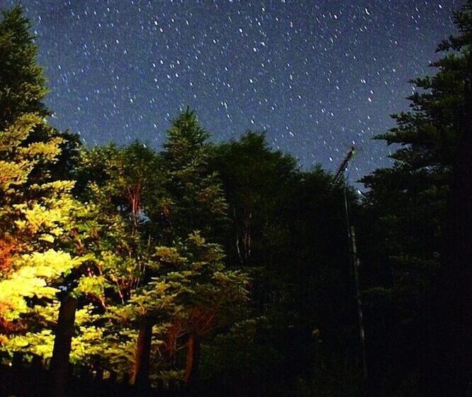 Hotel Spa Lodge Redwood Inn