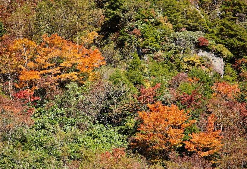 Hotel Spa Lodge Redwood Inn