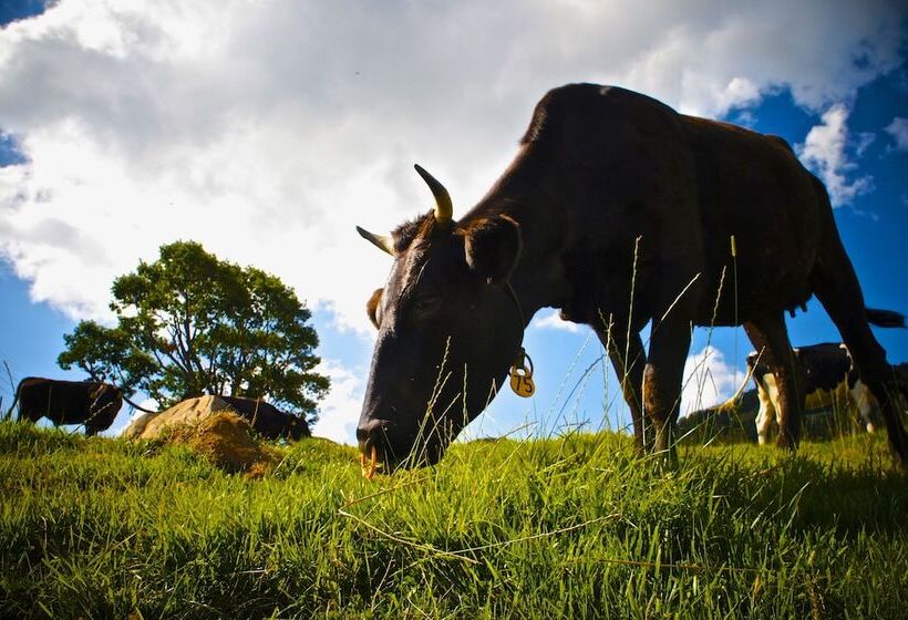 Hotel Spa Lodge Redwood Inn