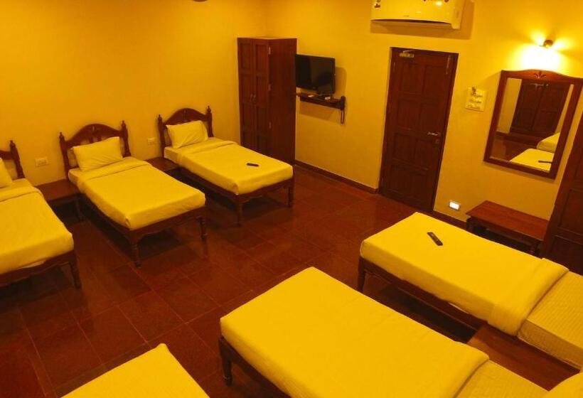 Palette Resorts  Carnival Resort