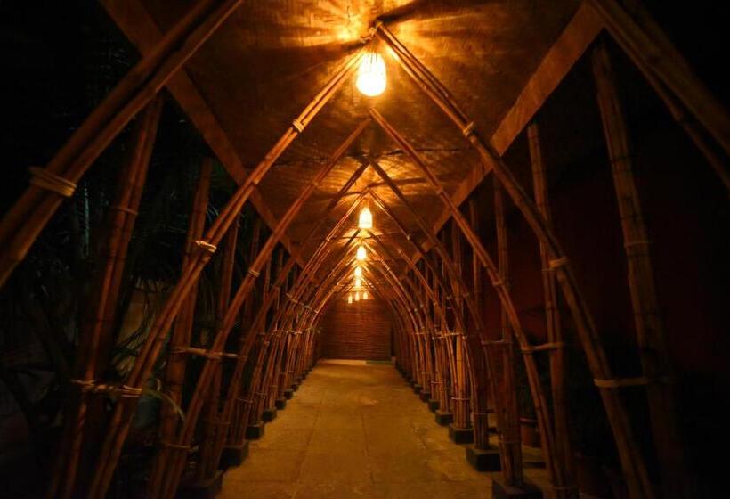 Palette Resorts  Carnival Resort