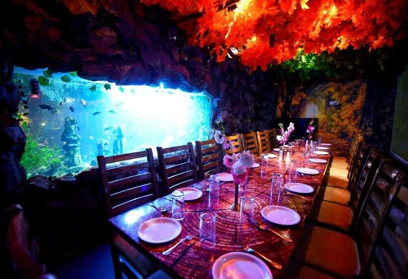 Palette Resorts  Carnival Resort