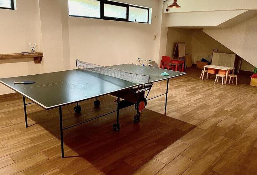 ペンション Casa Lazaroiu