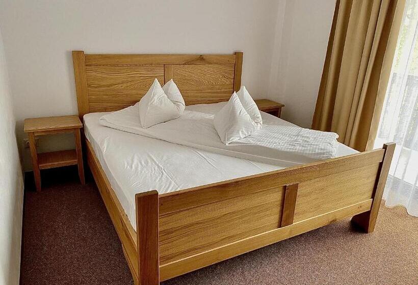 ペンション Casa Lazaroiu