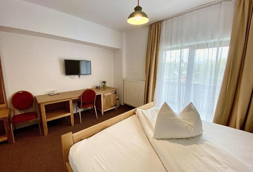 ペンション Casa Lazaroiu