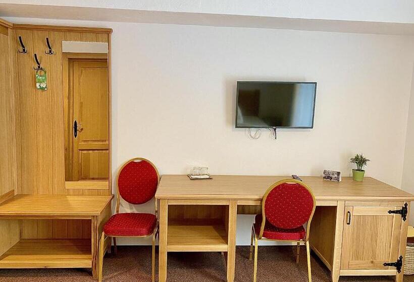 ペンション Casa Lazaroiu