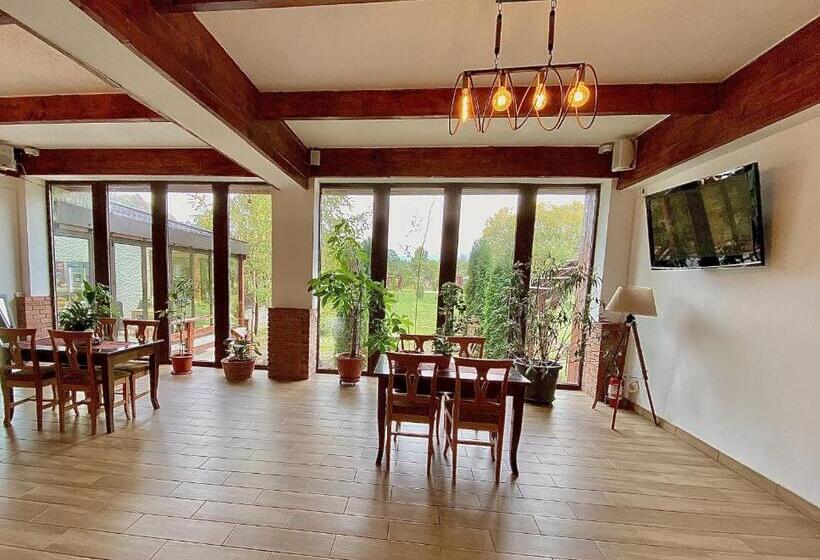 ペンション Casa Lazaroiu