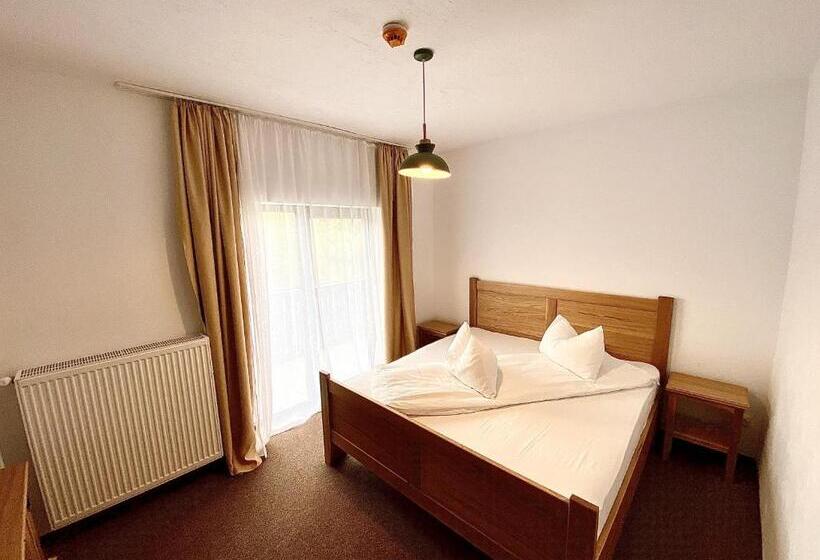 ペンション Casa Lazaroiu