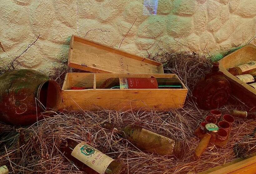 ペンション Casa Lazaroiu