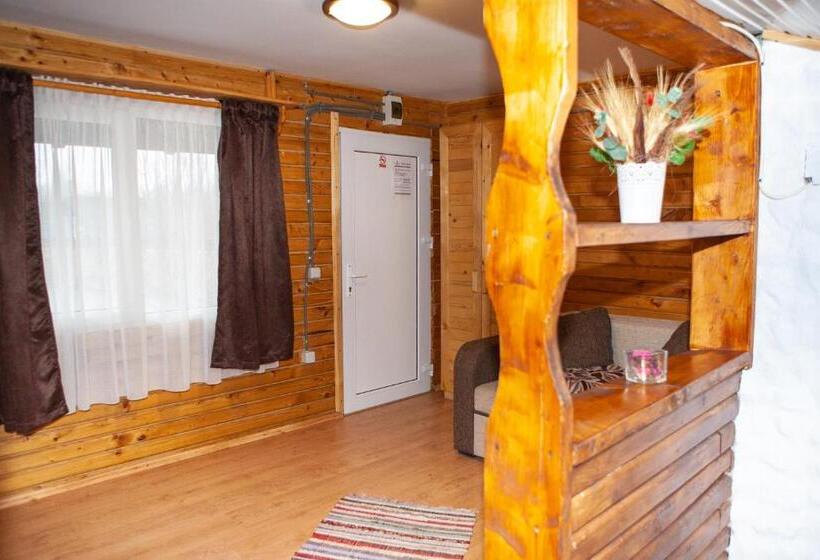 ペンション Casa Lazaroiu