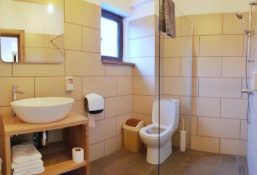 ペンション Casa Lazaroiu