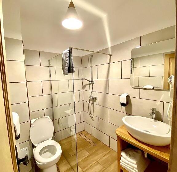 ペンション Casa Lazaroiu