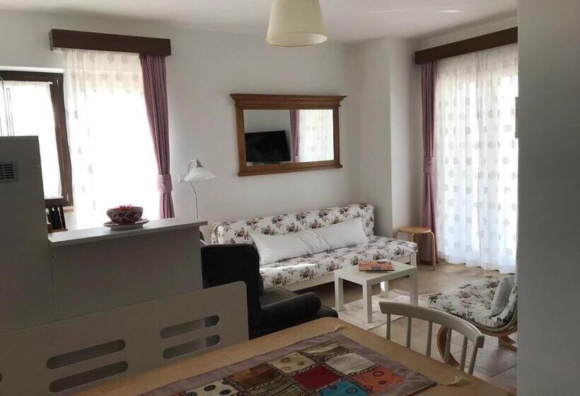 פנסיון Villa Betiga